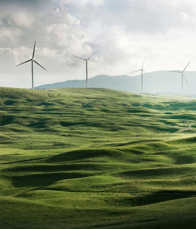 windpro wind farm onshore