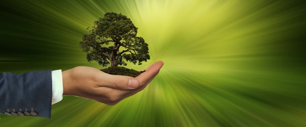 sustainability-3303398