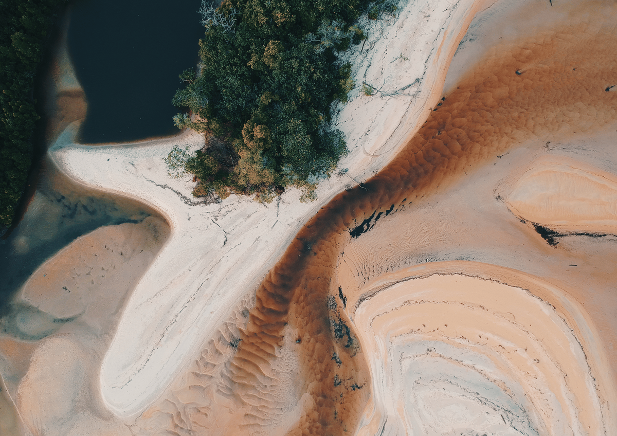 energyPRO decarbonization (Pexels)
