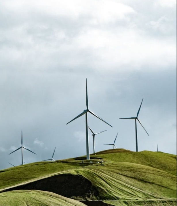 pexels-mariana-m-caceres-37729837-7184284-1-1